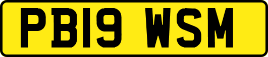 PB19WSM