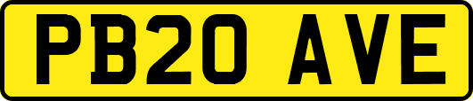 PB20AVE