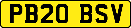 PB20BSV