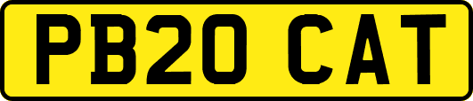 PB20CAT