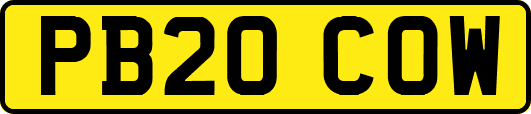 PB20COW