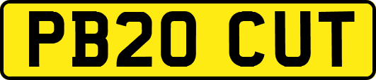 PB20CUT