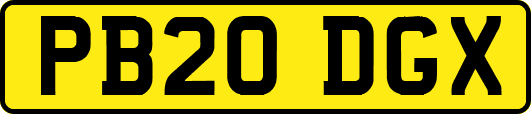 PB20DGX