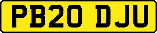 PB20DJU