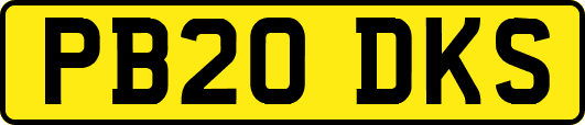 PB20DKS