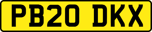 PB20DKX