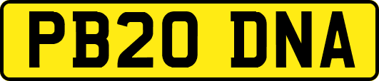 PB20DNA