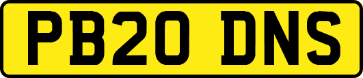 PB20DNS