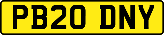 PB20DNY