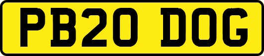 PB20DOG