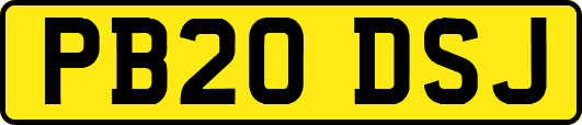 PB20DSJ