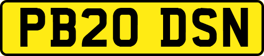 PB20DSN