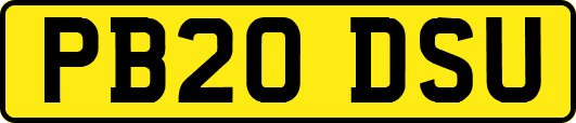 PB20DSU