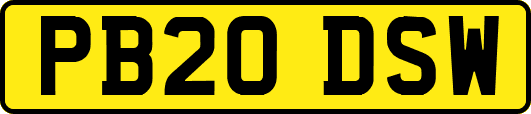PB20DSW