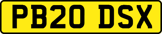 PB20DSX