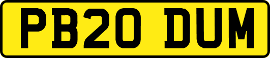 PB20DUM