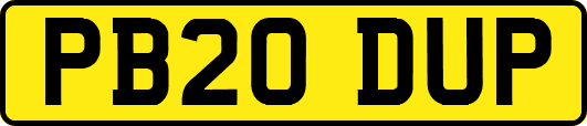 PB20DUP