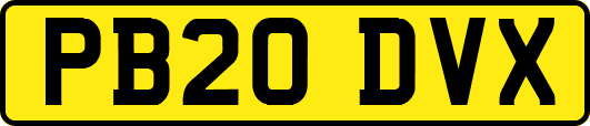 PB20DVX