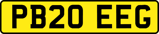 PB20EEG