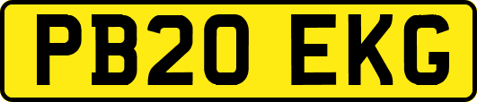 PB20EKG