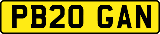 PB20GAN