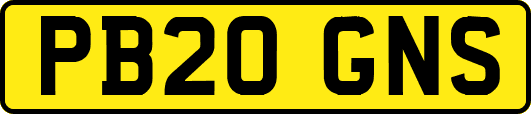 PB20GNS