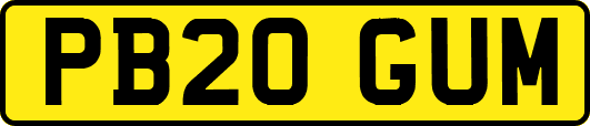 PB20GUM