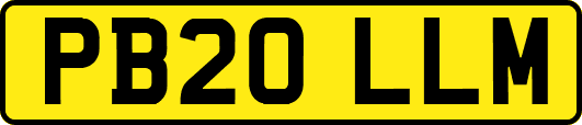 PB20LLM
