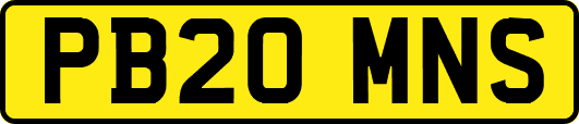 PB20MNS