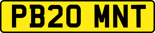 PB20MNT