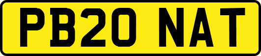 PB20NAT