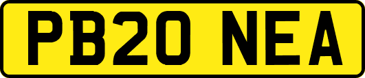 PB20NEA