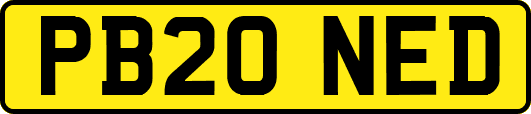 PB20NED
