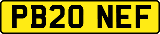PB20NEF
