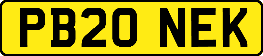 PB20NEK