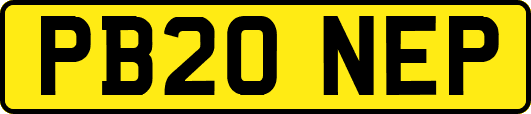 PB20NEP