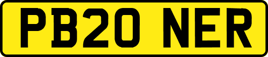 PB20NER