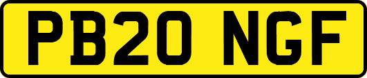 PB20NGF