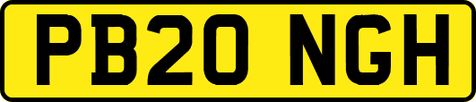 PB20NGH