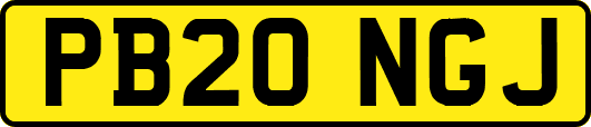 PB20NGJ