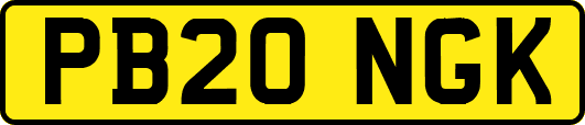 PB20NGK