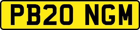 PB20NGM