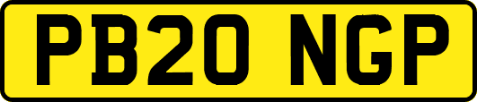 PB20NGP