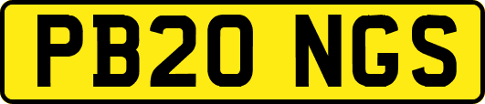 PB20NGS
