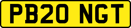 PB20NGT