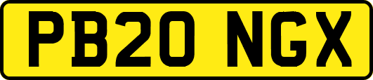 PB20NGX