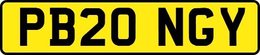 PB20NGY