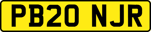 PB20NJR