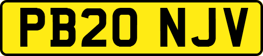 PB20NJV