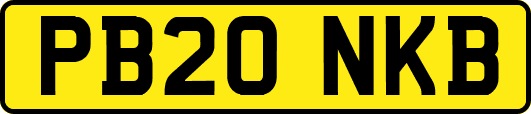 PB20NKB